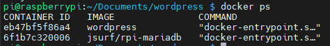 wordpress 를 구동하고 docker ps로 확인한 결과